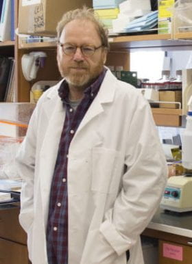 Daved H. Fremont, PhD
